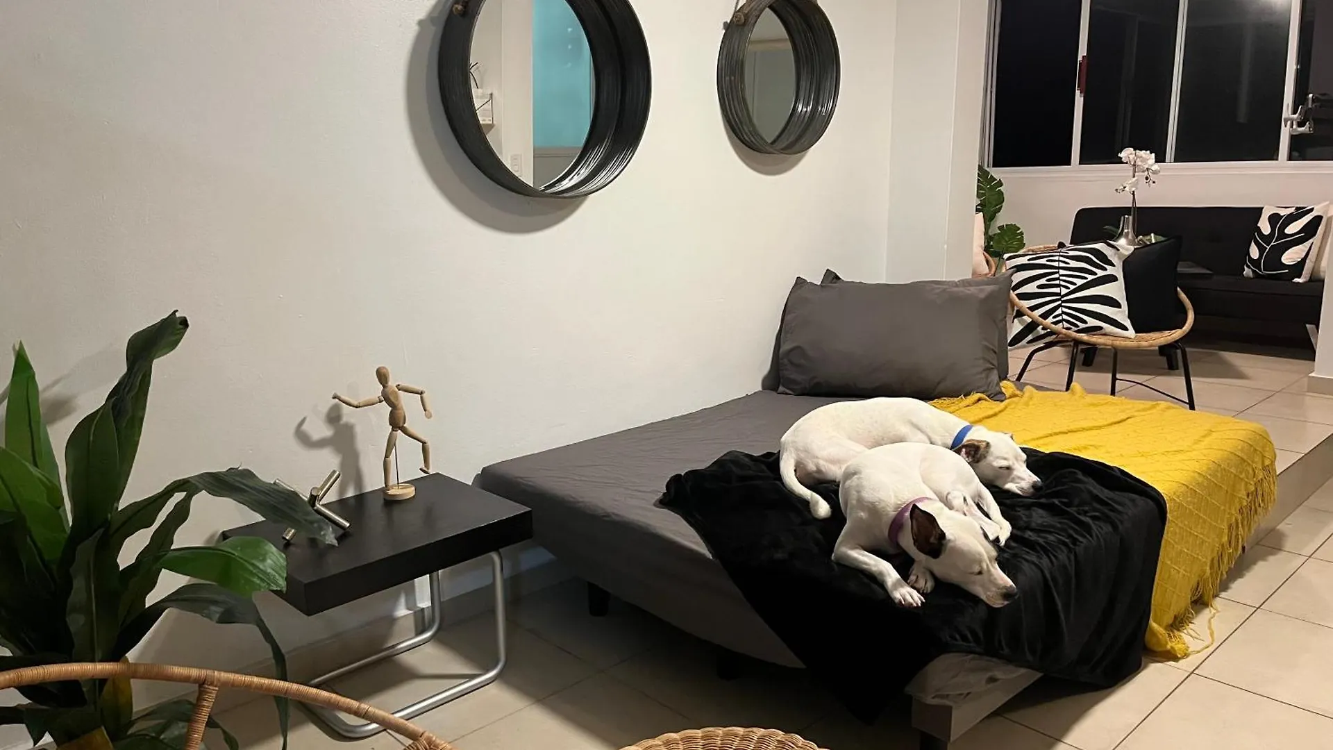 Estudio Con Vista Al Mar Y La Ciudad, Condado San Juanアパートメント アパート